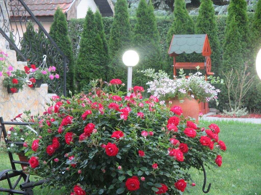 Vila Boska Palić Exterior foto
